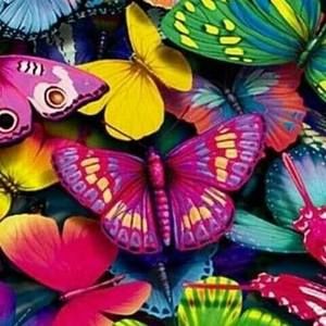 Meet your Posher, Claire